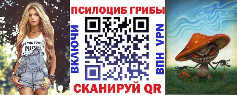 Псилоцибиновые грибы ЛСД Алейск