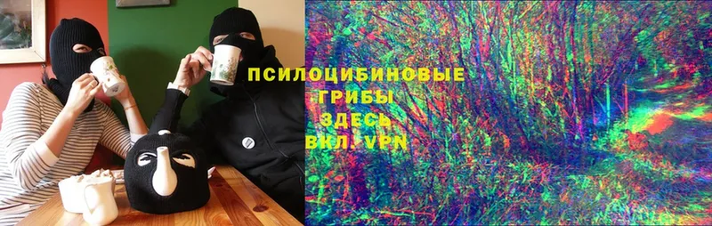 Псилоцибиновые грибы GOLDEN TEACHER  hydra маркетплейс  это формула  Алейск 